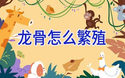 龙骨怎么繁殖插图