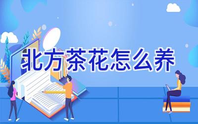 北方茶花怎么养插图
