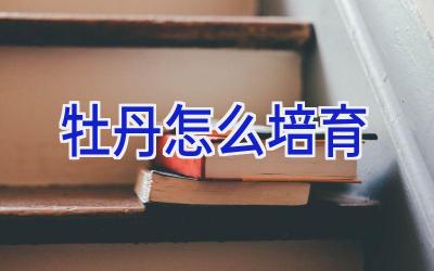 牡丹怎么培育插图