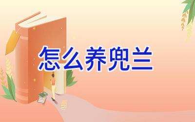 怎么养兜兰插图