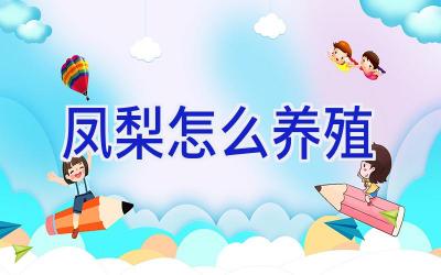 凤梨怎么养殖插图