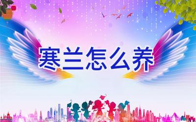 寒兰怎么养插图