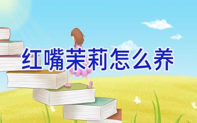 红嘴茉莉怎么养插图