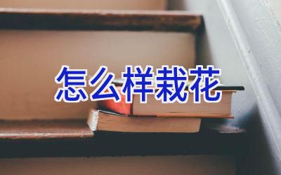 怎么样栽花插图