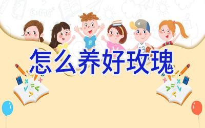 怎么养好玫瑰插图