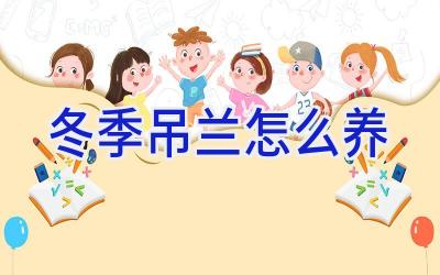 冬季吊兰怎么养插图
