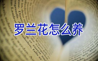罗兰花怎么养插图