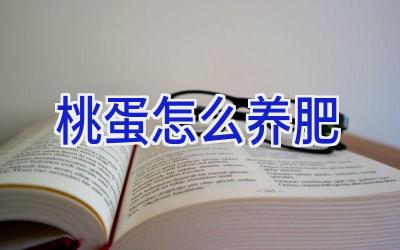 桃蛋怎么养肥插图