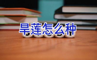 旱莲怎么种插图