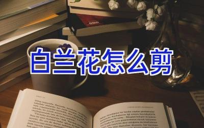 白兰花怎么剪插图