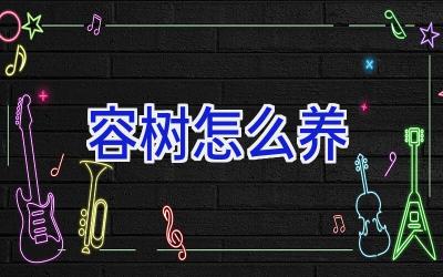 容树怎么养插图