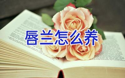 唇兰怎么养插图