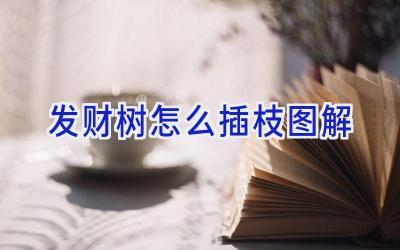 发财树怎么插枝图解插图