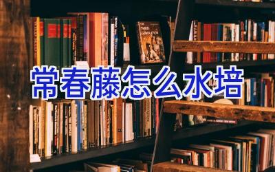 常春藤怎么水培插图