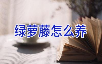 绿萝藤怎么养插图