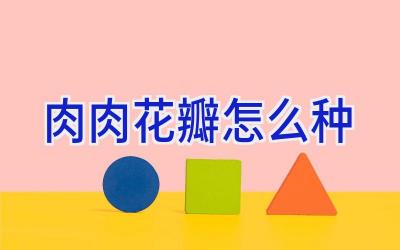 肉肉花瓣怎么种插图