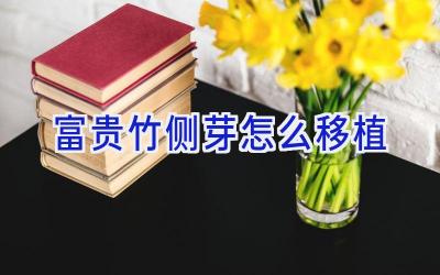 富贵竹侧芽怎么移植插图