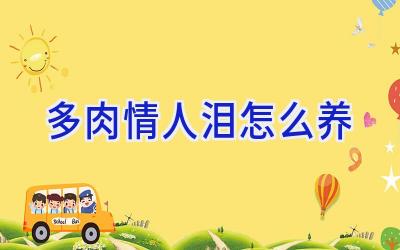 多肉情人泪怎么养插图