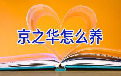 京之华怎么养插图 京之华怎么养插图