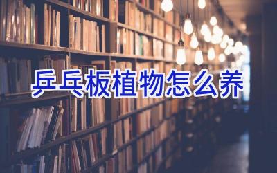 乒乓板植物怎么养插图