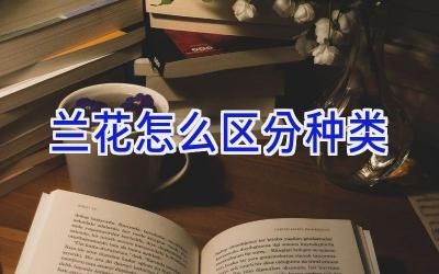 兰花怎么区分种类插图