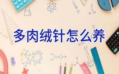多肉绒针怎么养插图