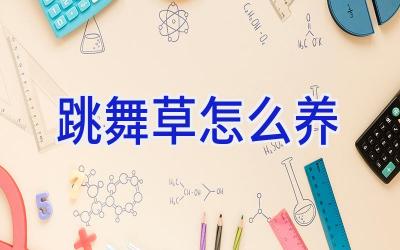跳舞草怎么养插图