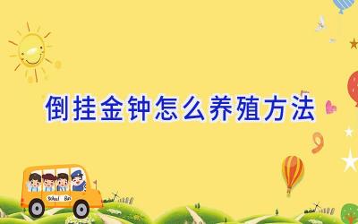 倒挂金钟怎么养殖方法插图