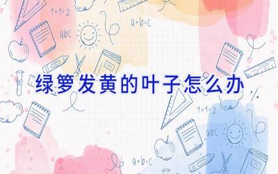 绿箩发黄的叶子怎么办插图