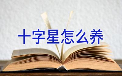 十字星怎么养插图