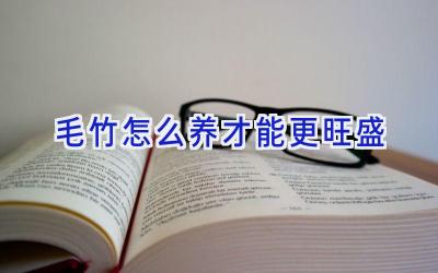 毛竹怎么养才能更旺盛插图