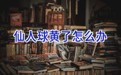 仙人球黄了怎么办插图