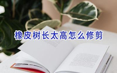 橡皮树长太高怎么修剪插图
