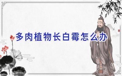 多肉植物长白霉怎么办插图