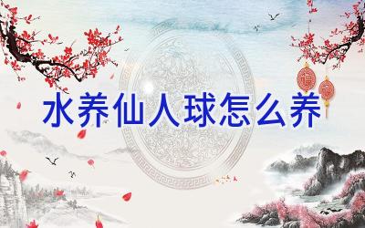 水养仙人球怎么养插图