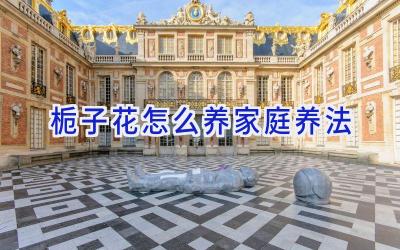 栀子花怎么养家庭养法插图
