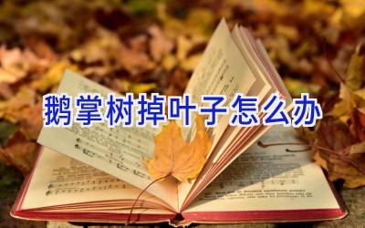 鹅掌树掉叶子怎么办插图