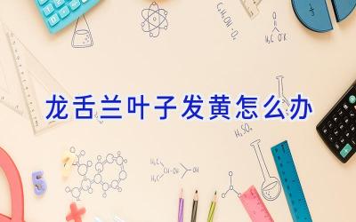 龙舌兰叶子发黄怎么办插图