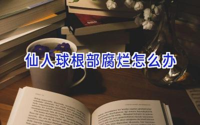 仙人球根部腐烂怎么办插图