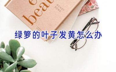 绿箩的叶子发黄怎么办插图
