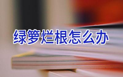绿箩烂根怎么办插图
