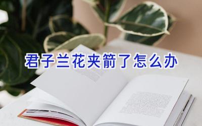 君子兰花夹箭了怎么办插图