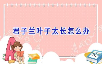 君子兰叶子太长怎么办插图