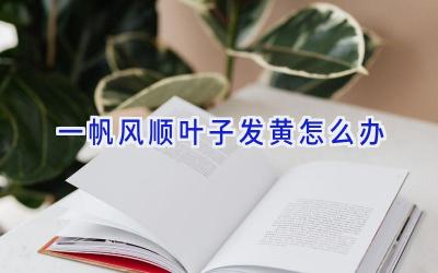 一帆风顺叶子发黄怎么办插图