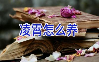 凌霄怎么养插图