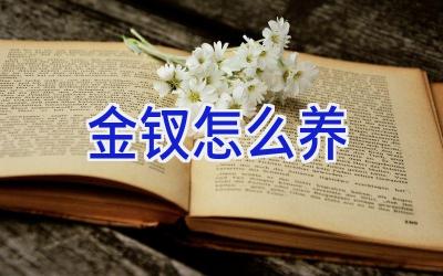 金钗怎么养插图