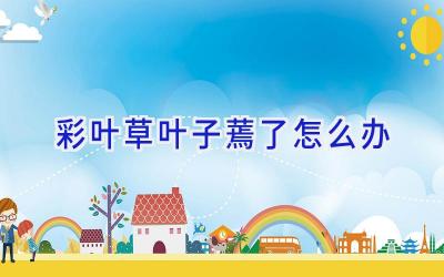 彩叶草叶子蔫了怎么办插图