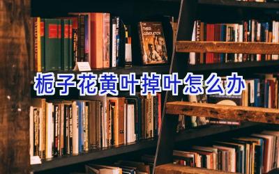 栀子花黄叶掉叶怎么办插图