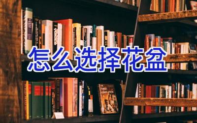 怎么选择花盆插图