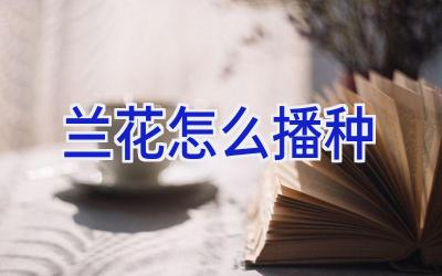 兰花怎么播种插图